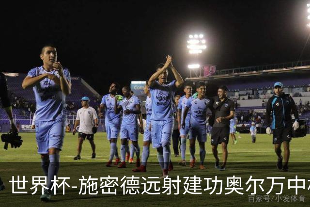 世界杯-施密德远射建功奥尔万中框 半场奥地利1-0约旦