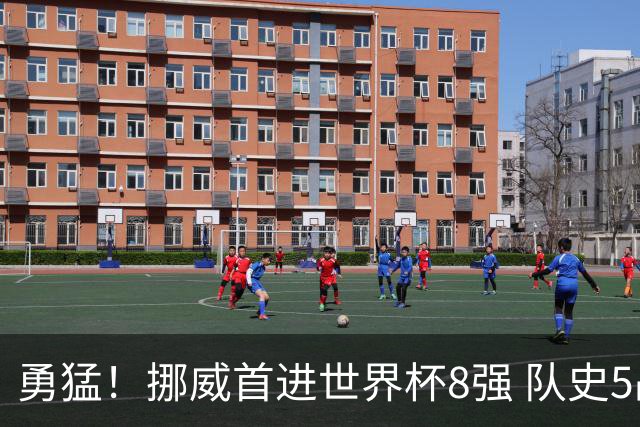勇猛！挪威首进世界杯8强 队史5战巴西均保持不败